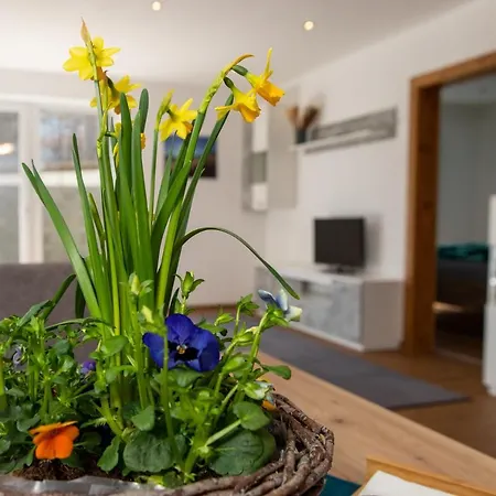 Pedit Apartment Tarrenz